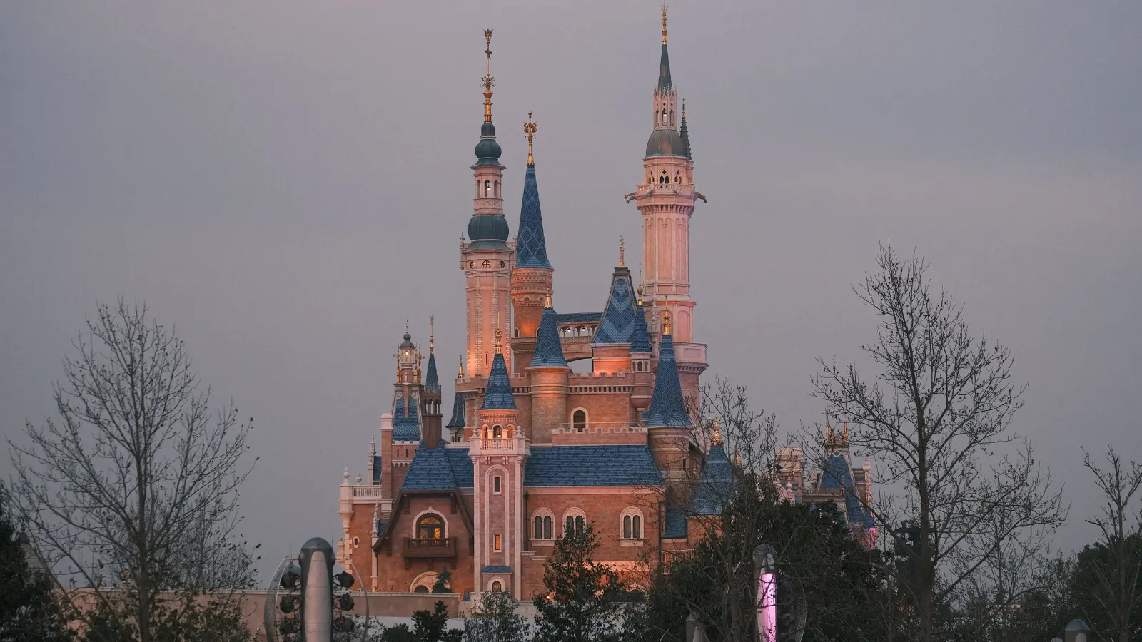Disney Plus Captions for Instagra