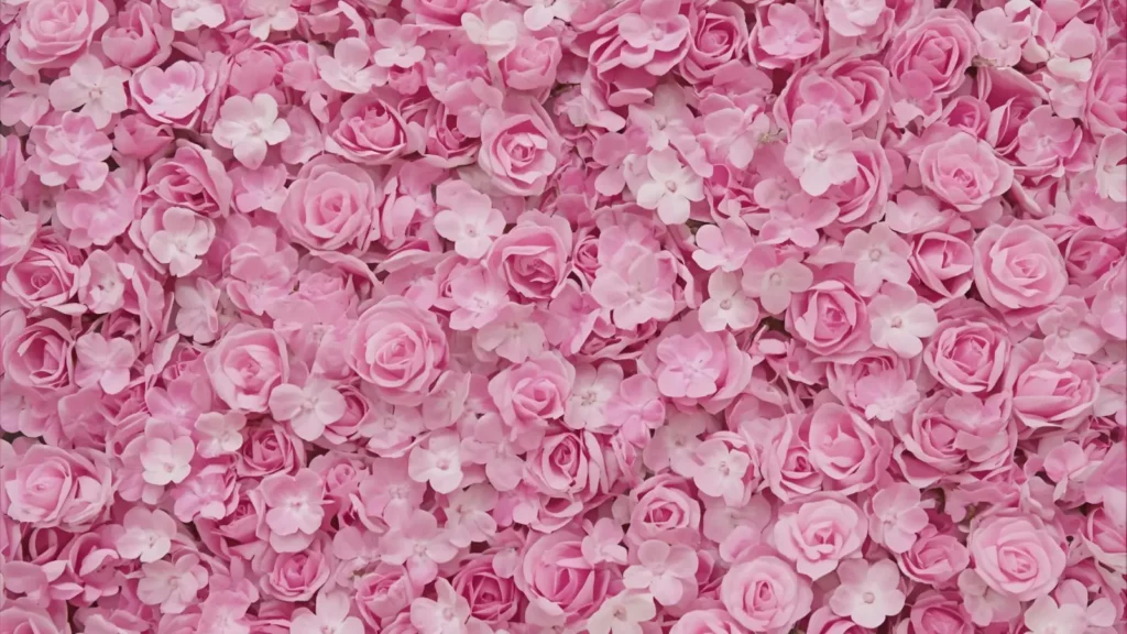 Pink Instagram Captions