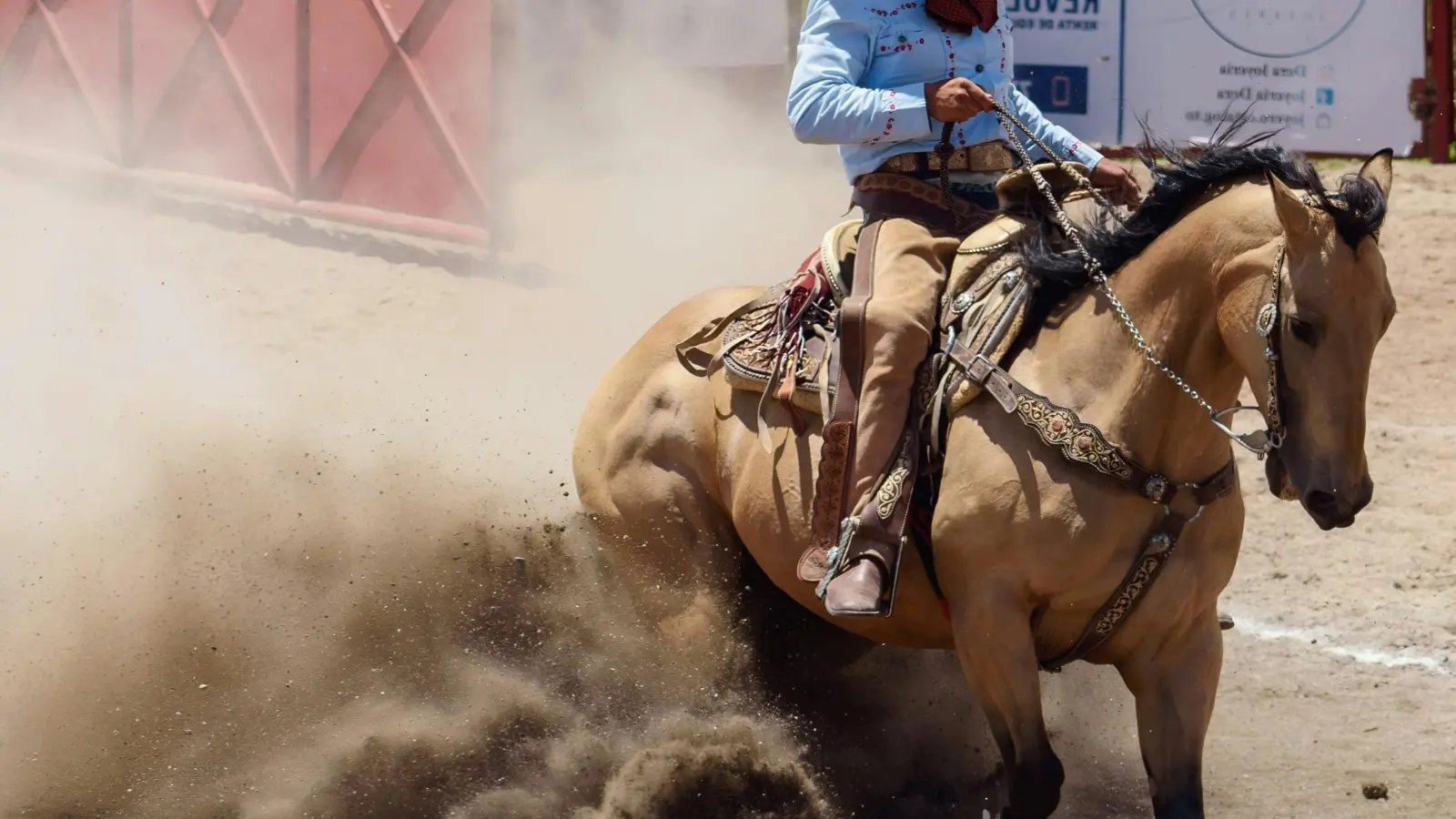 Rodeo Instagram Captions
