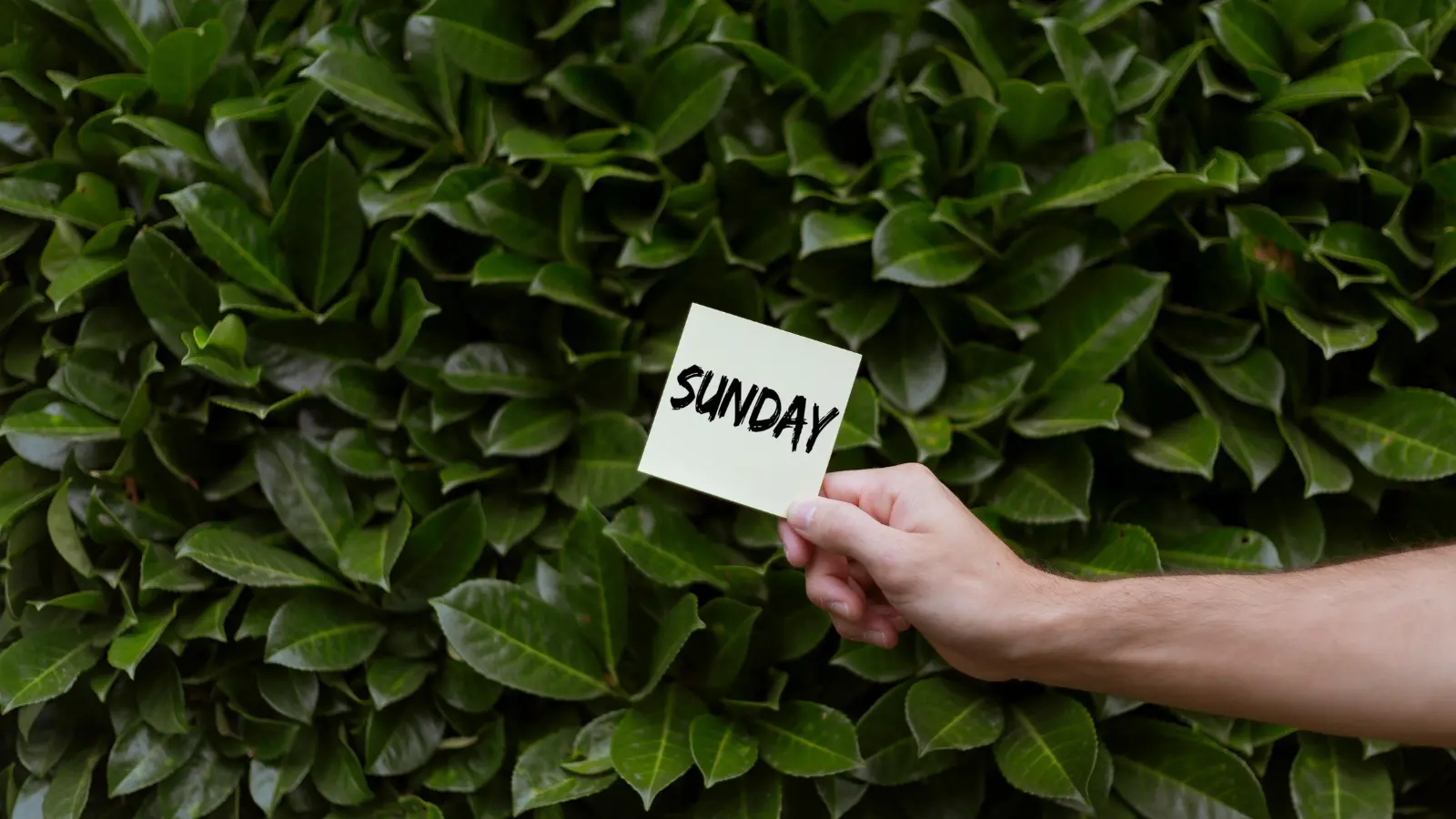 Sunday Instagram Captions