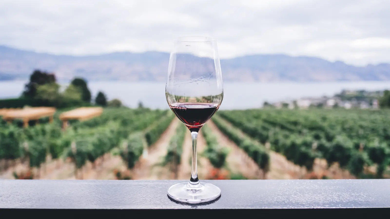 Wine Captions for Instagram