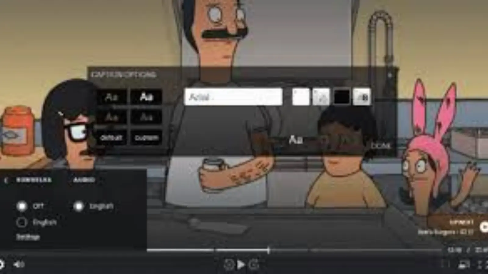 Hulu Captions