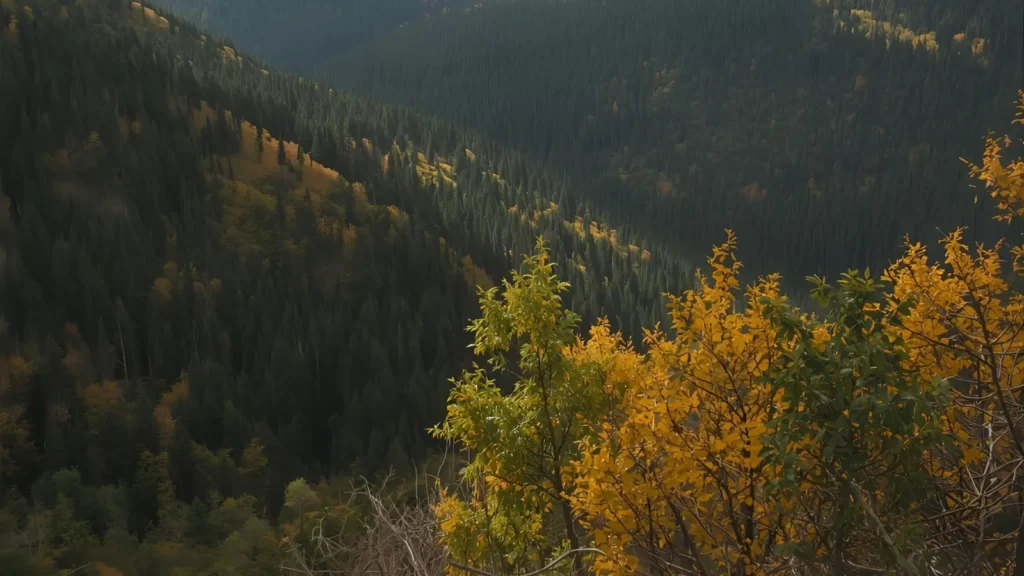 original pick up lines